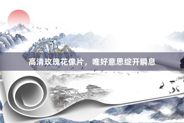高清玫瑰花像片，唯好意思绽开瞬息